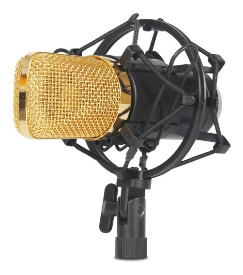 WG-700 micro studio