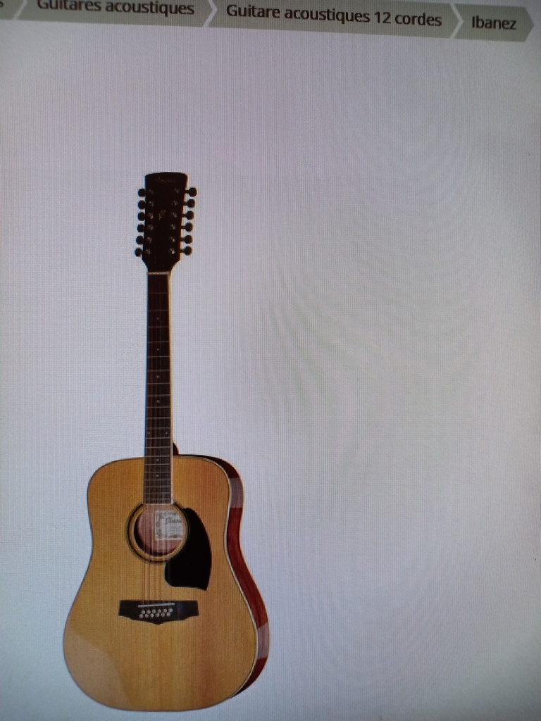 GUITARE PF1512-NT