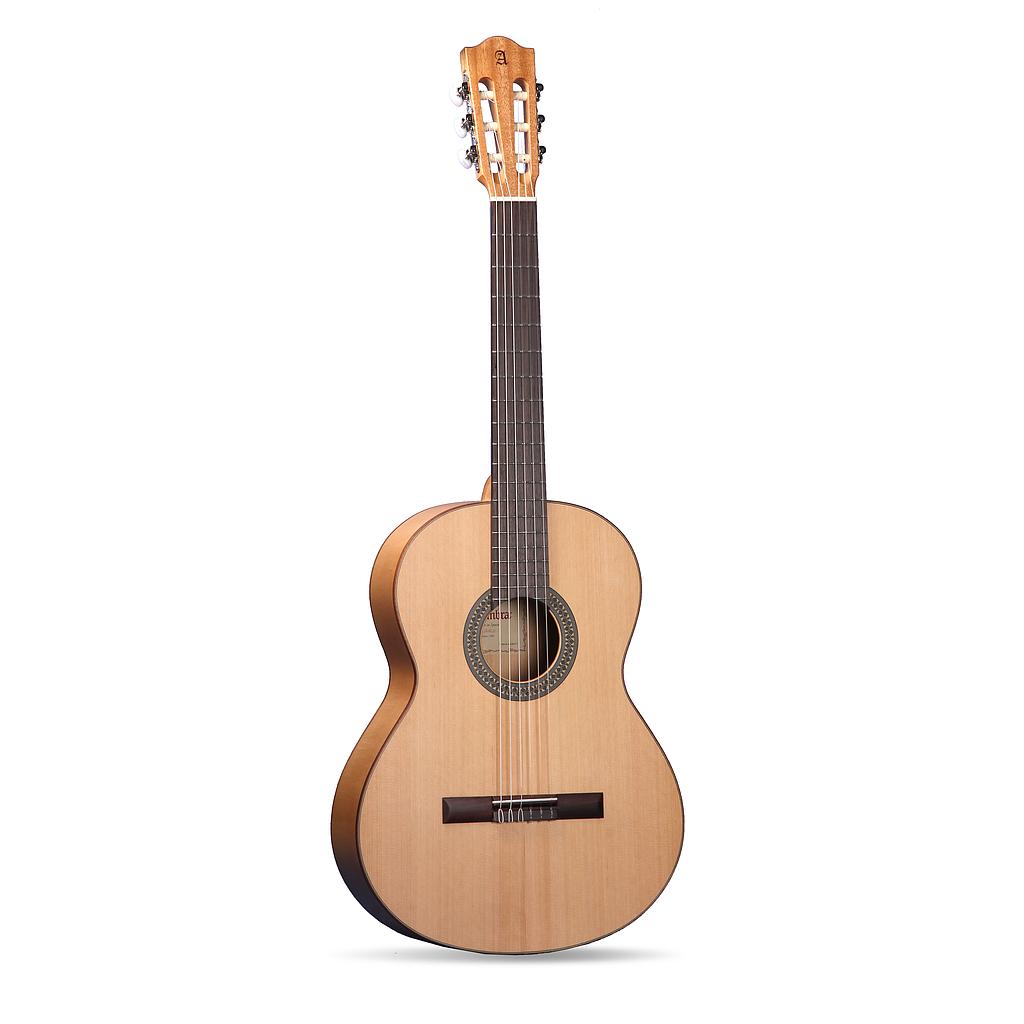 GUITARE 8201 2 F G