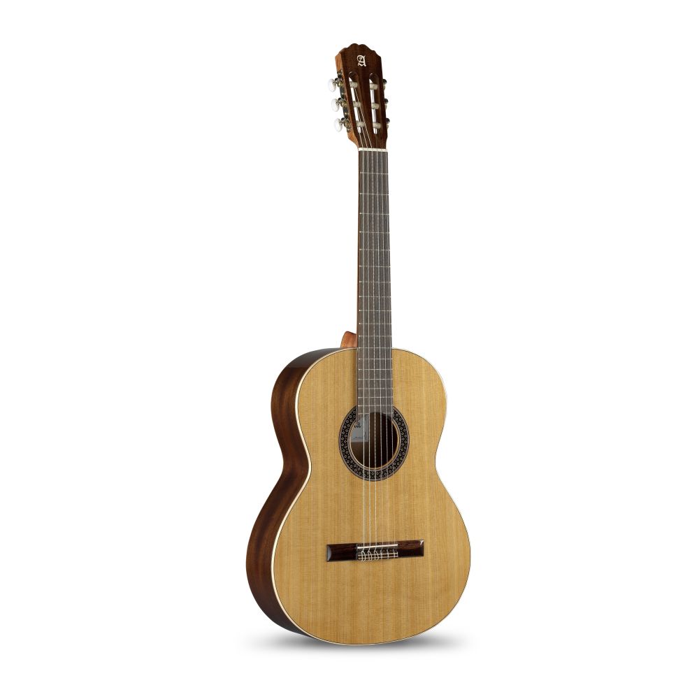 GUITARE 802 1C