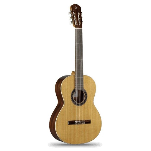 [GUITARE C802 EZ] C802EZ