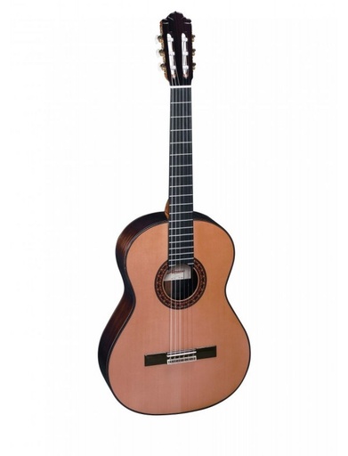 [GUITARE 436 Cedar] 436 Cedar